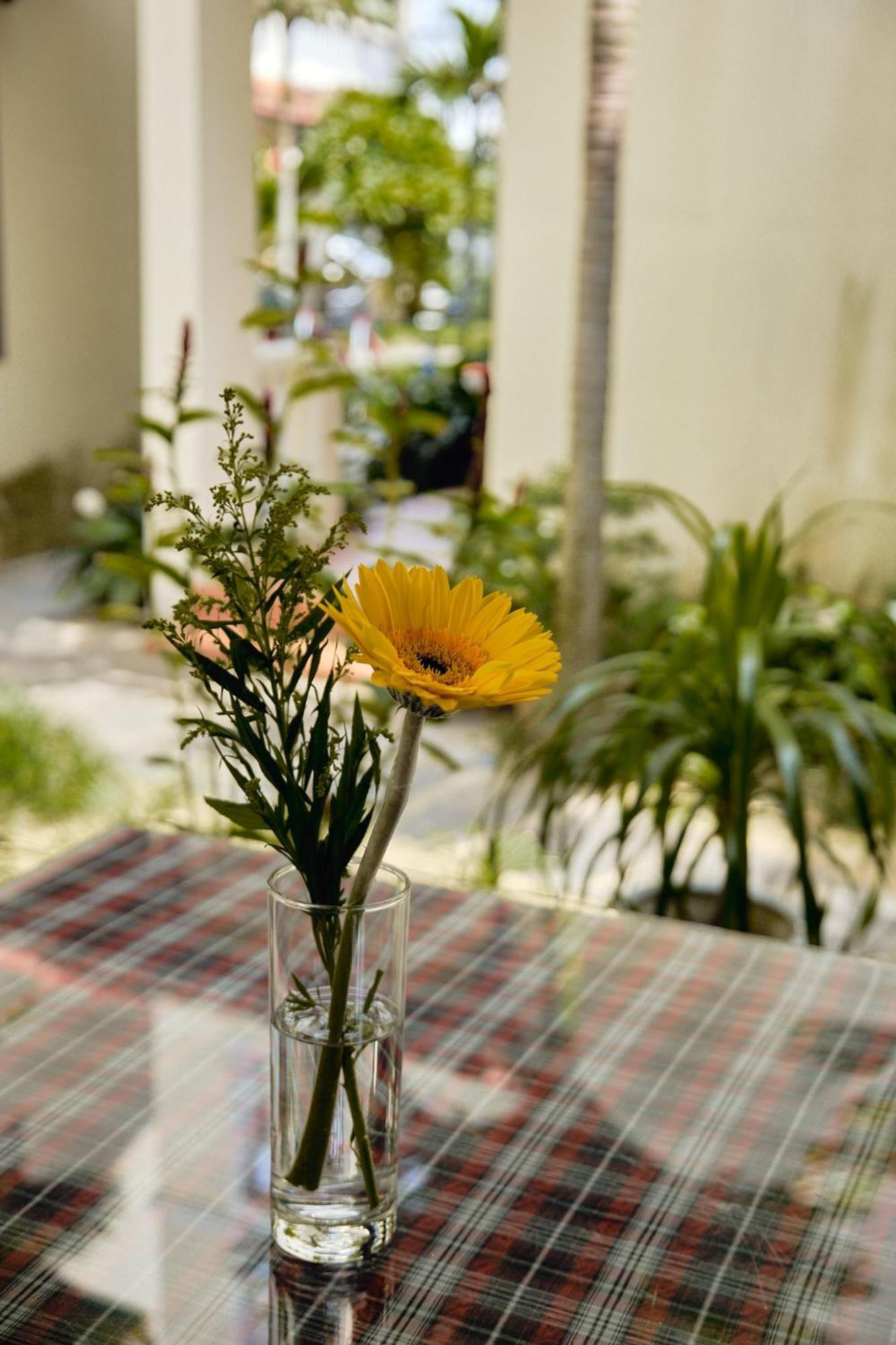 Hoi An Holiday Villa Exterior photo